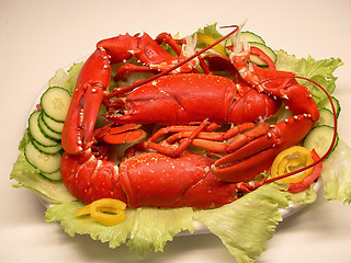 Image showing lobster