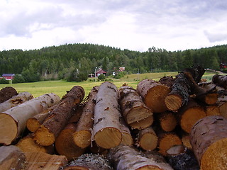 Image showing Firewood