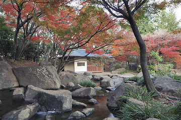 Image showing Japanese garden