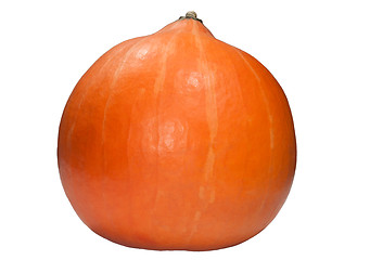 Image showing Isolated pumpkin on white