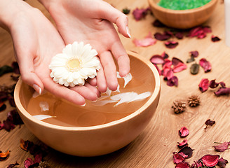 Image showing Spa.Woman's Hands with flower