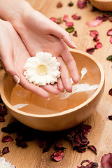 Image showing Spa.Woman's Hands with flower