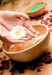 Image showing Spa.Woman's Hands with flower