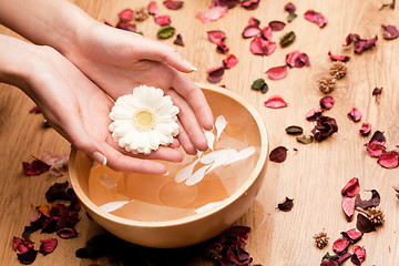 Image showing Spa.Woman's Hands with flower
