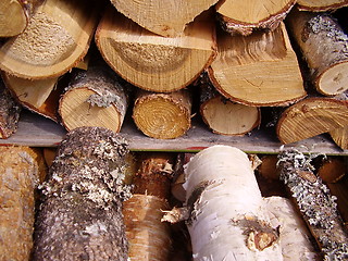 Image showing Firewood