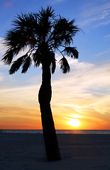 Image showing Beach Sunset