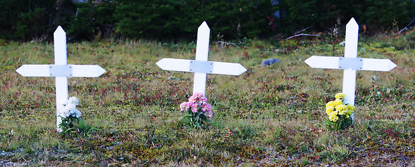 Image showing Crosses in a graveyard