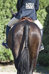 Image showing Horseback Riding.