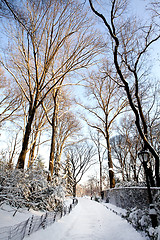 Image showing Central Park, New York. Beautiful park in beautiful city. 