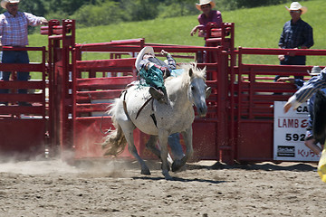 Image showing Rodeo