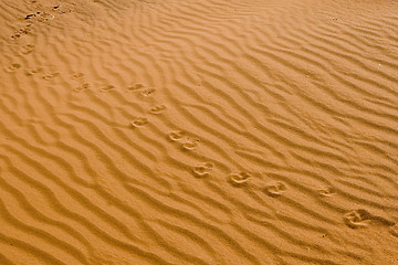 Image showing Sands of time.