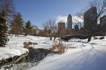 Image showing Central Park, New York. Beautiful park in beautiful city. 