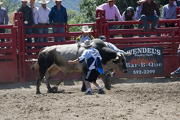 Image showing Rodeo