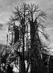 Image showing Washington national cathedral