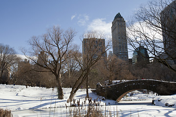 Image showing Central Park, New York. Beautiful park in beautiful city. 