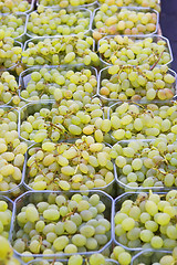 Image showing Grapes on Sale