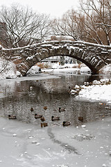 Image showing Centtral Park. Gapstow Bridge