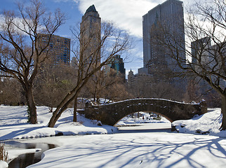 Image showing Central Park, New York. Beautiful park in beautiful city. 