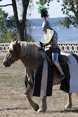 Image showing Medieval Knight 