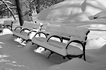 Image showing Central Park, New York. Beautiful park in beautiful city. 