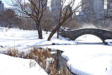 Image showing Central Park, New York. Beautiful park in beautiful city. 