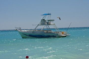 Image showing Pelican flying over yacht boat