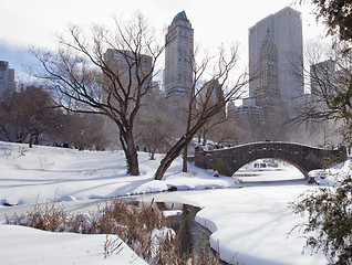 Image showing Central Park, New York. Beautiful park in beautiful city. 