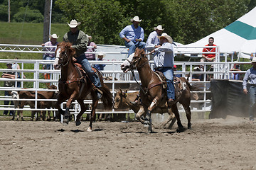 Image showing Rodeo