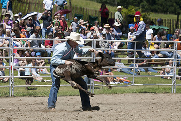 Image showing Rodeo