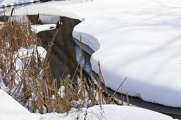 Image showing Stream in winter park