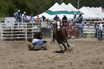 Image showing Rodeo