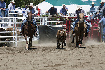 Image showing Rodeo