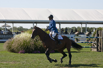 Image showing show jumping 