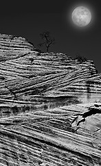 Image showing Zion National Park