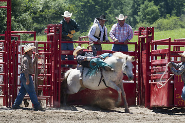 Image showing Rodeo