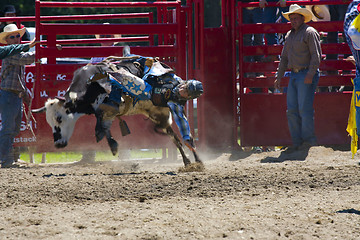 Image showing Rodeo