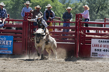 Image showing Rodeo