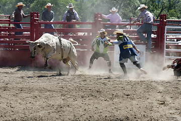 Image showing Rodeo