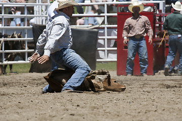 Image showing Rodeo