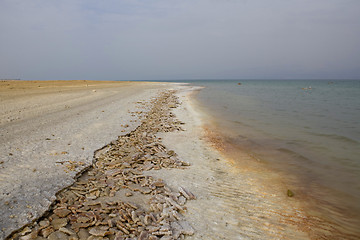 Image showing View over The Dead Sea