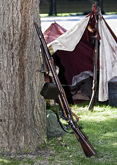 Image showing Old style Gun leaning on tree 