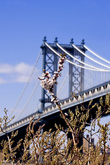 Image showing Manhattan Bridge. New York 