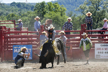 Image showing Rodeo