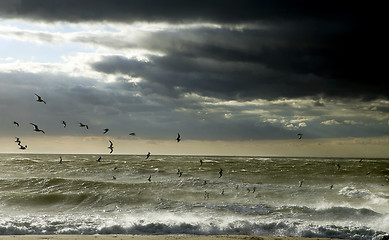 Image showing Seagulls between cloudy sky and stormy ocean