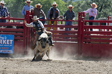 Image showing Rodeo