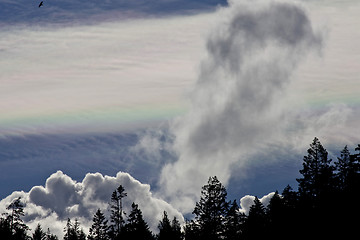 Image showing Amazing Alaska