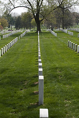 Image showing Arlington National Cemetary