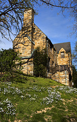 Image showing Back yard of National Cathedral