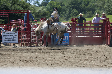 Image showing Rodeo