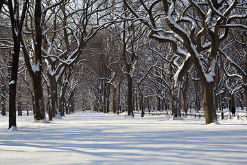 Image showing Central Park, New York. Beautiful park in beautiful city. 